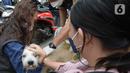 Petugas menyuntikkan vaksin rabies pada seekor anjing peliharaan warga di kelurahan Bukit Duri, Jakarta, Selasa (24/8/2021). Dinas Ketahanan Pangan, Kelautan, dan Pertanian (KPKP) memberikan vaksinasi rabies bagi hewan peliharaan warga untuk mengantisipasi penyakit rabies. (merdeka.com/Imam Buhori)