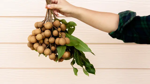 Manfaat Buah Kelengkeng