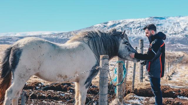 Ilustrasi terapi kuda