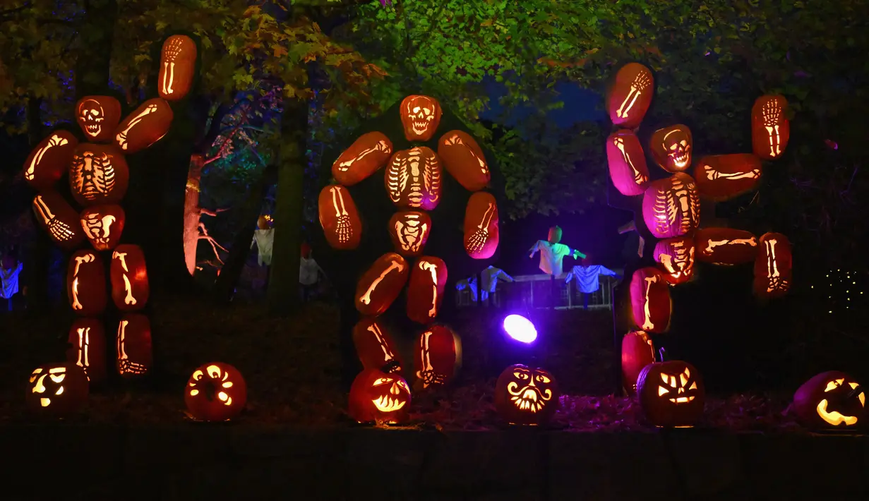 Labu yang diukir dipajang selama "The Great Jack O'Lantern Blaze" di Croton-on-Hudson, New York menjelang Halloween pada 25 Oktober 2023. (ANGELA WEISS / AFP)