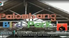 Meski namanya Taman Burung, Palembang Bird Park juga menghadirkan ragam fauna lainnya seperti reptil, ikan dan hewan mamalia.
