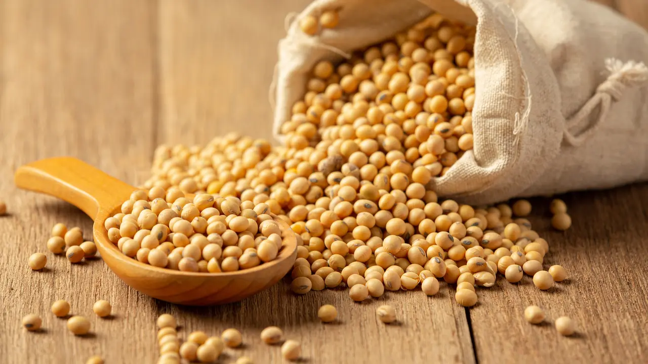 Kacang Kedelai