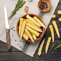 Ilustrasi/copyright shutterstock