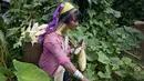 Seorang wanita etnis Kayan saat bekerja di kebun di desa PanPat, Kayan, Myanmar, Rabu (9/9/2015). Kaum perempuan Suku Kayan ini mengenakan banyak kalung berbentuk cincin di lehernya hingga membuat leher mereka panjang. (AFP PHOTO/Ye Aung THU)