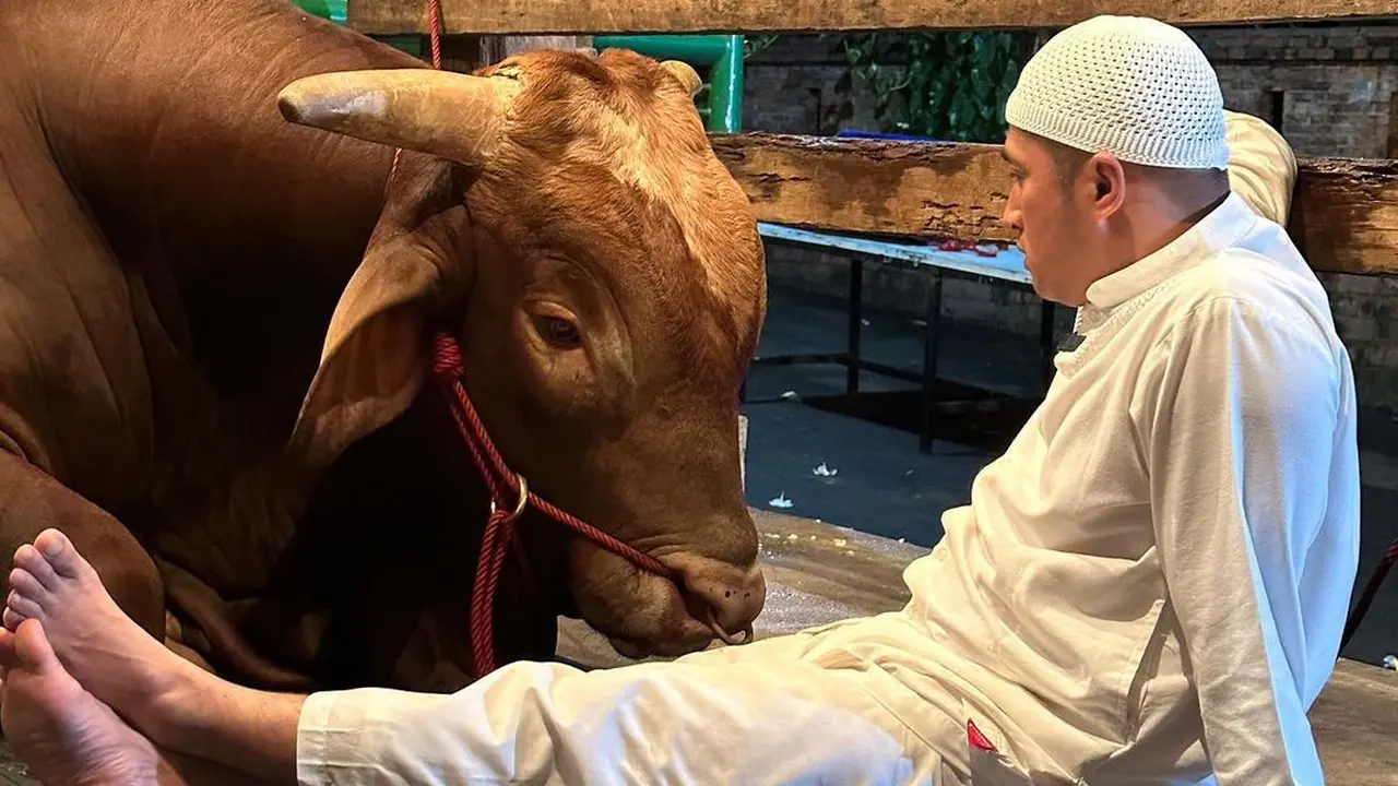 Presenter Irfan Hakim Kembali Berkurban di Hari Raya Idul Adha 2023. Seperti Tahun-Tahun Sebelumnya, Idul Adha Kali Ini Irfan Tidak Absen Memperkenalkan Sapi Kurban Terbaru yang Diberi Nama Wariso. [Instagram/irfanhakim75]