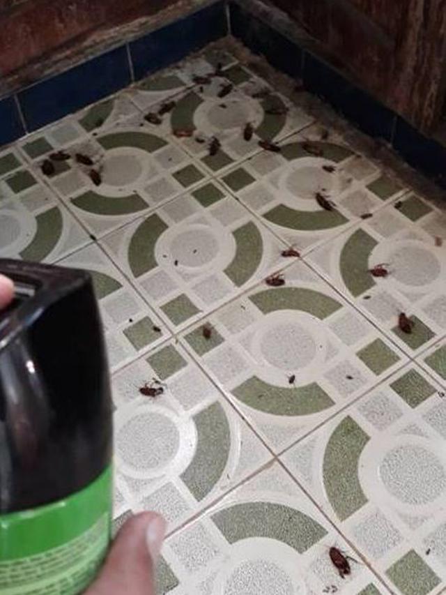 Bikin Elus Dada, 6 Potret Kamar Mandi Tak Terawat