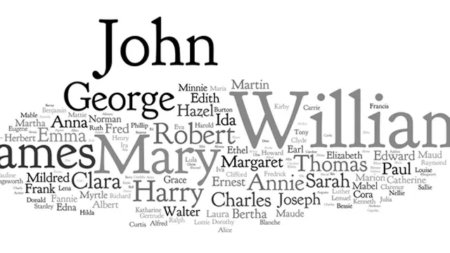 Courtery LookForGenius