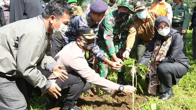 Penanaman Pohon.
