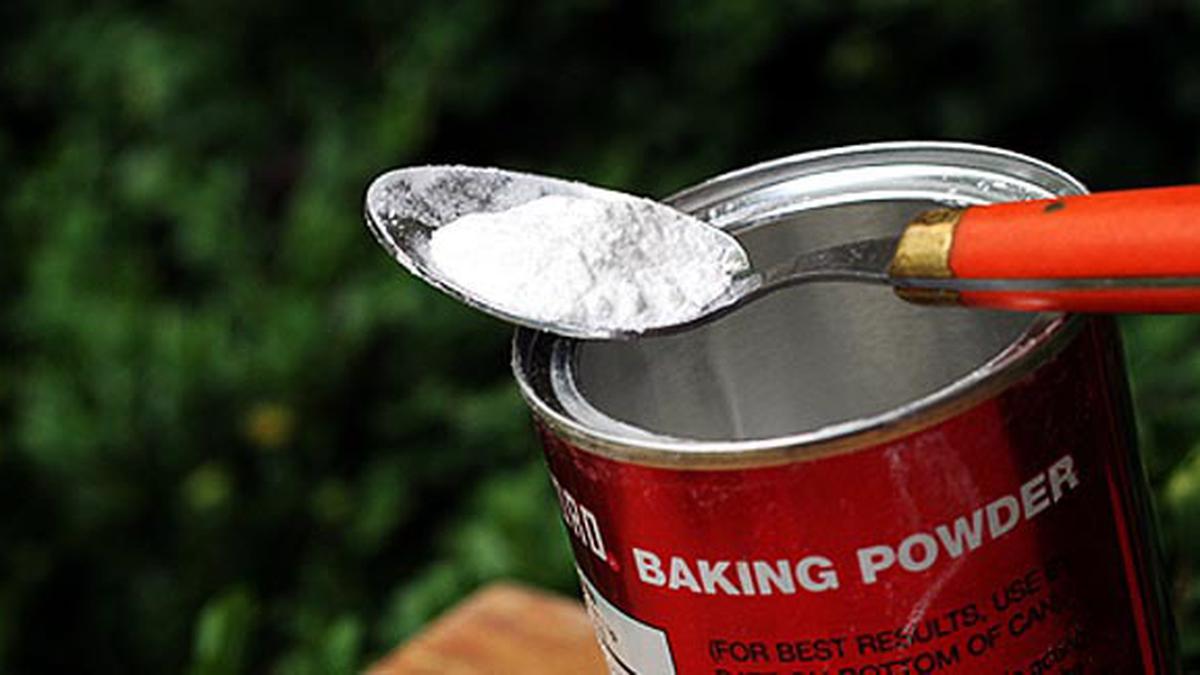 Cara Mengetahui Baking Powder Yang Baik Lifestyle