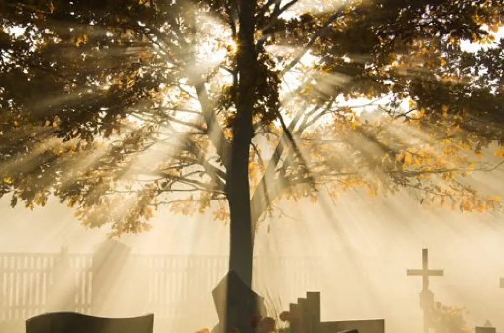 Scorpio. (Sumber foto: stpaulcos.org)