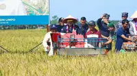 Menteri Pertanian Syahrul Yasin Limpo (Mentan SYL) melakukan Panen Raya Padi di Desa Sari Mulyo, Kecamatan Sukaraja, Kabupaten Seluma, Provinsi Bengkulu (10/2).