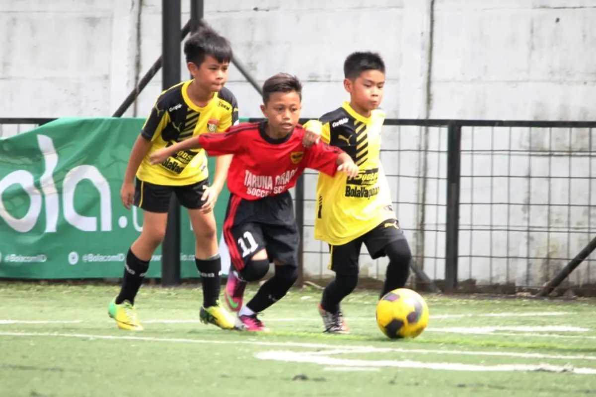Liga Bola Indonesia 2016