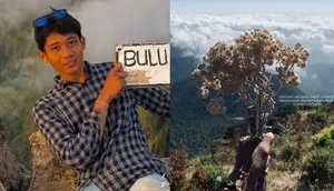 Nekat Petik Bunga Edelweis, Pendaki Gunung Lompobattang Kena Blacklist 10 Tahun