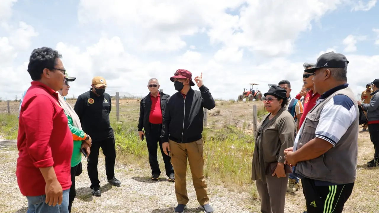 Badan Intelijen Negara (BIN) terjun dan merangkul anak muda yang tergabung dalam Papua Muda Inspiratif (PMI) untuk usaha budidaya jagung serta peternakan sapi di Kabupaten Fakfak, Provinsi Papua Barat.