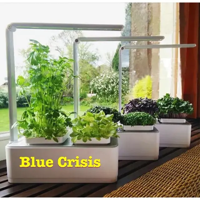Mini Garden Kit