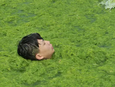 Seorang anak berenang di pantai yang dipenuhi tanaman ganggang di Qingdao , Provinsi Shandong , China , (18/7). Tanaman ganggang merupakan vegetasi yang tumbuh di air dan ganggang tumbuh tak terkendali. (Reuters)
