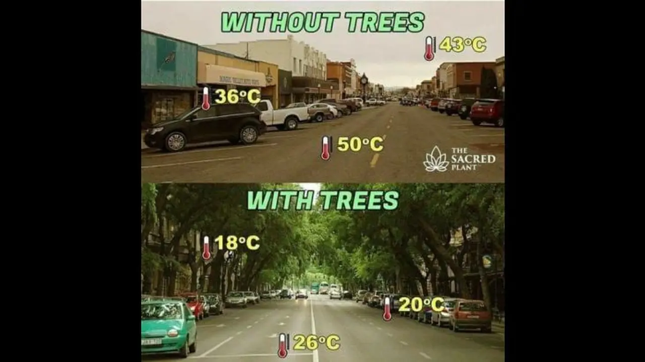 Meme Otomotif