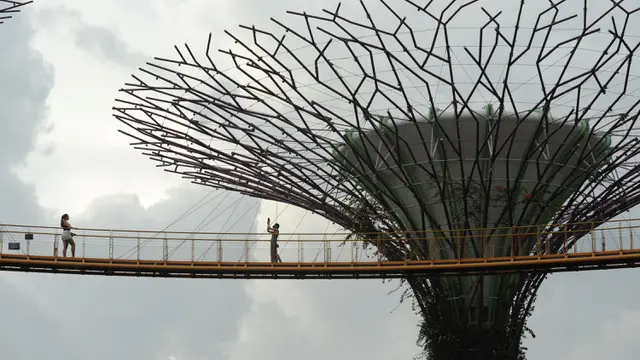 Supertree Grove, Pohon Raksasa Ikon Taman di Singapura Dibuka Kembali