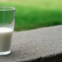 4 Makanan Kaya Kalsium dan Vitamin D yang Penting untuk Kesehatan Tulang Lansia./copyright. pexels/