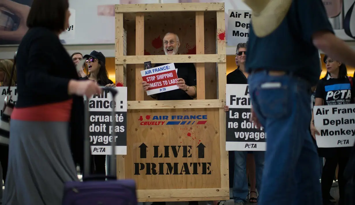 Aktor kawakan AS, James Cromwell ikut berdemonstrasi bersama aktivis PETA yang menuntut Air France berhenti menerbangkan monyet untuk keperluan laboratorium di Bandara Internasional Los Angeles, California (28/4/2014). (REUTERS/Mario Anzuoni)