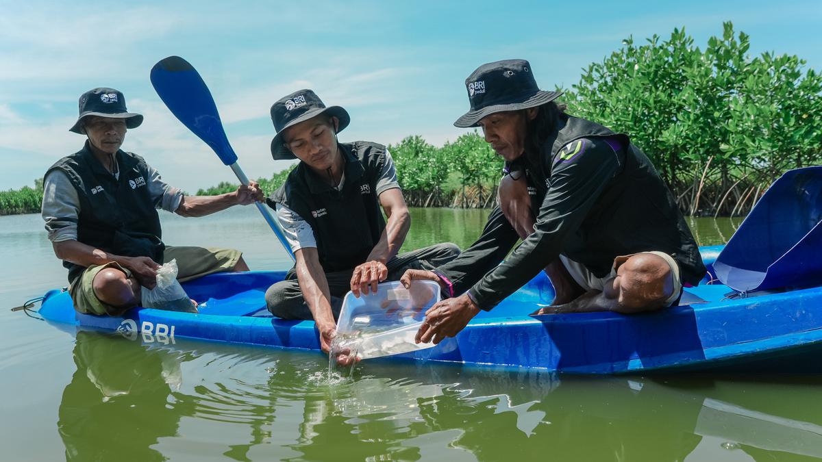 BRI Tanam 500 Mangrove di Muara Gembong untuk Jaga Ekosistem Pesisir