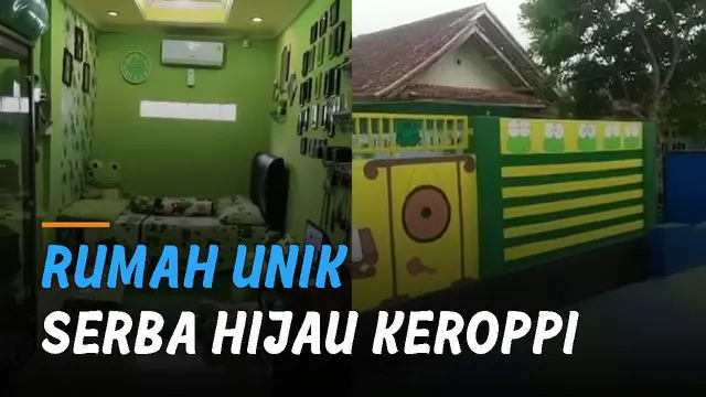 Ada-ada saja rumah yang satu ini karena interior dari luar sampai dalam serba hijau keroppi.