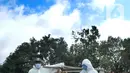 Petugas yang mengenakan APD membawa peti berisi jenazah dengan protokol COVID-19 di TPU Srengseng Sawah 2, Jakarta, Selasa (9/2/2021). Sudah lebih dari sepekan TPU Srengseng Sawah 2 menerima pemakaman korban COVID-19 dengan jumlah yang dimakamkan sehari maksimal 10 jenazah. (merdeka.com/Arie Basuki)