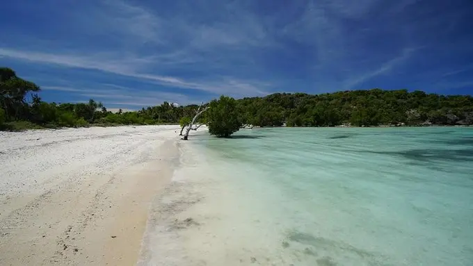 [Bintang] Nusa Tenggara Timur