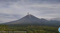 Gunung Semeru kembali erupsi dengan tinggi letusan capai 1.100 meter (Istimewa)