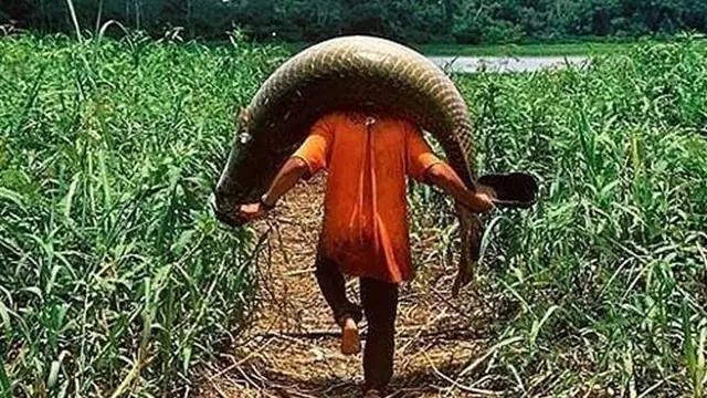 6 Potret Pemancing Dapat Ikan Lebih Besar dari Tubuhnya Ini Bikin Melongo