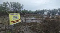 Kawasan Hutan Mangrove di Desa Nisombalia Maros Jadi Gundul, Kok Bisa?