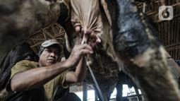 Pekerja saat memerah susu sapi secara manual di peternakan Mahesa Perkasa, Depok, Jawa Barat, Minggu (28/3/2021). Permintaan susu sapi perah di masa pandemi Covid-19 masih stabil, namun terkendala harga pakan yang mengalami kenaikan akibat kelangkaan bahan baku. (merdeka.com/Iqbal S. Nugroho)