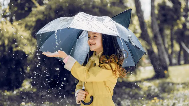 Rainy Day