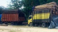Truk pembawa kayu hasil perambahan hutan Rimbang Baling di Kecamatan Kampar Kiri Hulu yang sempat dihadang orang tak dikenal. (Liputan6.com/M Syukur)