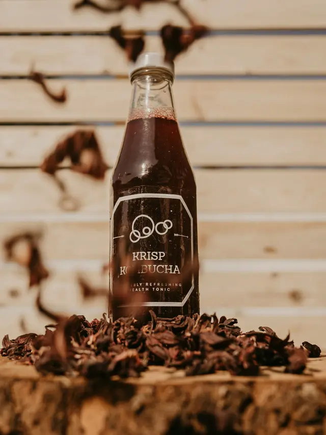 Teh Kombucha