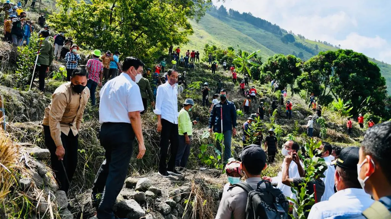 Presiden Joko Widodo atau Jokowi menanam pohon bersama masyarakat di Desa Simangulampe, Kecamatan Bakti Raja, Kabupaten Humbang Hasundutan, Sumatera Utara, Kamis (3/2/2022).