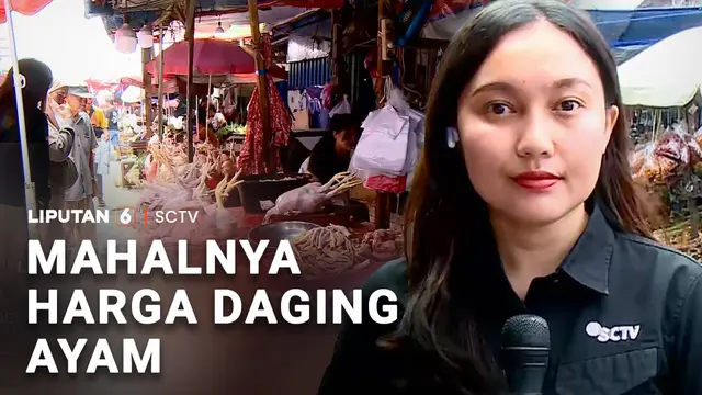 Mahalnya Harga Daging Ayam