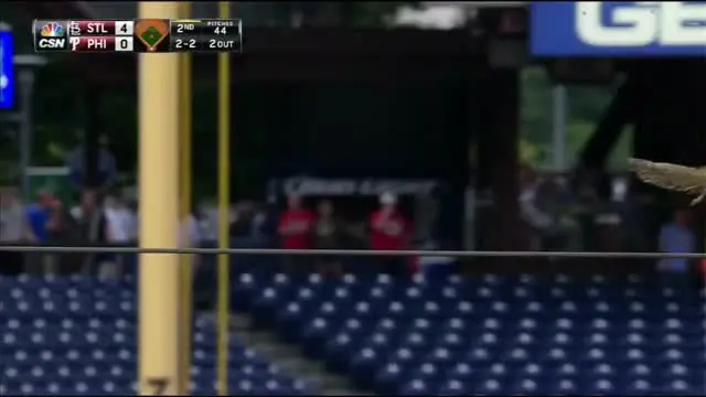 Seekor tupai yang melintas kabel baja terjatuh di lapangan saat laga kompetisi bisbol dunia antara Philadelphia Phillies vs St Louis Cardinals.