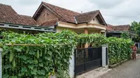 14 Tanaman Sayur Merambat yang Bisa Ditanam di Pagar, Mudah Dirawat dan Cepat Panen