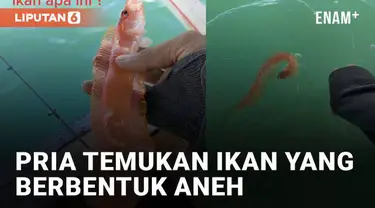 Aksi seorang pria sedang memancing di laut temukan ikan unik