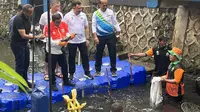 Pramono Bakal Bentuk Petugas Khusus Atasi Dominasi Ikan Sapu-Sapu di Perairan Jakarta
