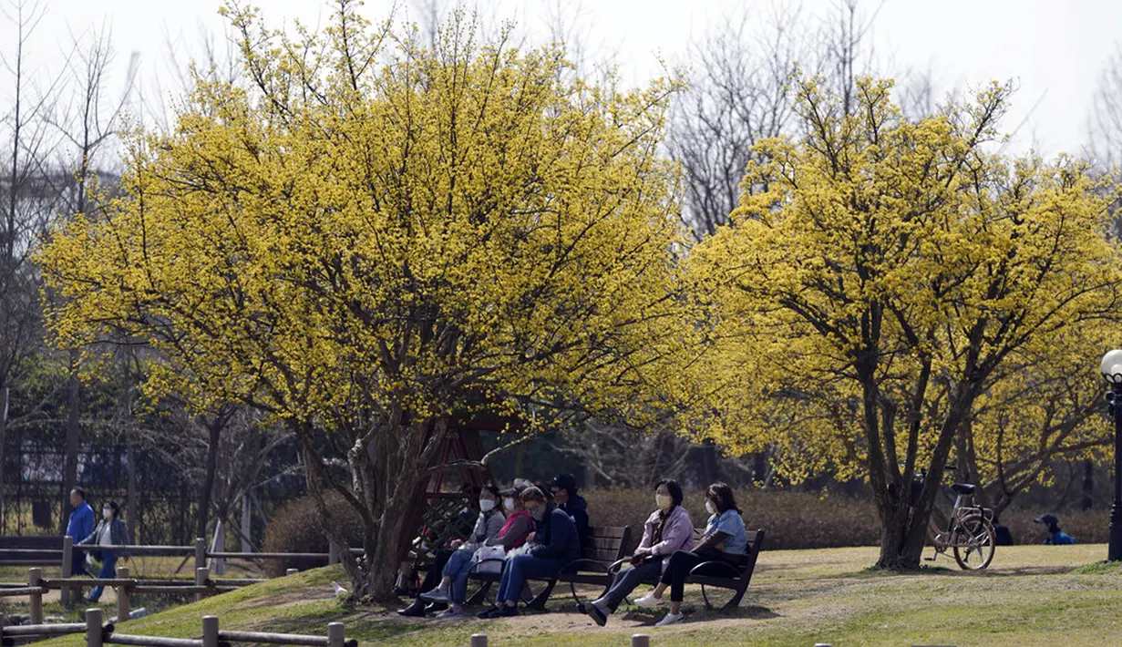 Pengunjung yang mengenakan masker untuk membantu mengekang penyebaran virus corona COVID-19 duduk pada bangku sambil menjaga jarak sosial di sebuah taman di Goyang, Korea Selatan, Jumat (8/4/2022). (AP Photo/Lee Jin-man)