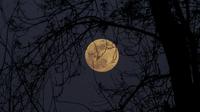 Ilustrasi gerhana bulan total. (Sumber foto: unsplash.com)