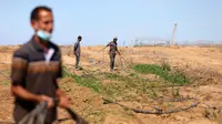 AS Bekukan Pengiriman Buldoser ke Israel Karena Penghancuran Rumah di Gaza?