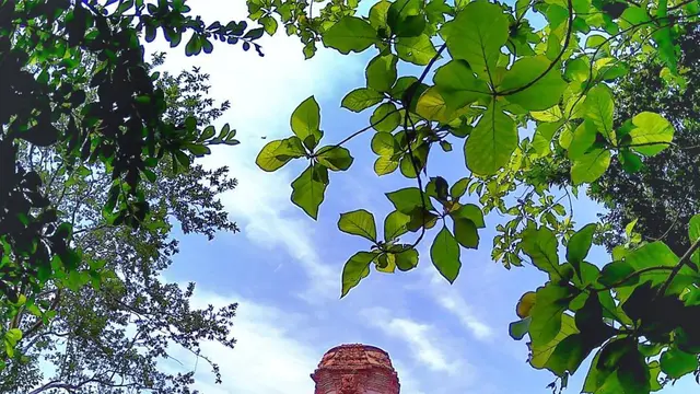 22 Tempat Wisata di Probolinggo yang Menarik dan Unik, Wajib Dikunjungi