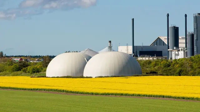ilustrasi manfaat biogas/Lasse Quintus/shutterstock