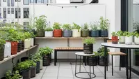 7 Inspirasi Teras Minimalis dengan Galon Bekas yang Disulap Jadi Urban Garden