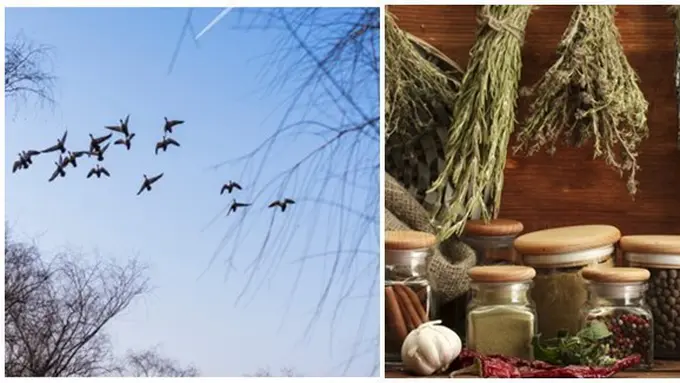 Foto : copyright berbagai sumber