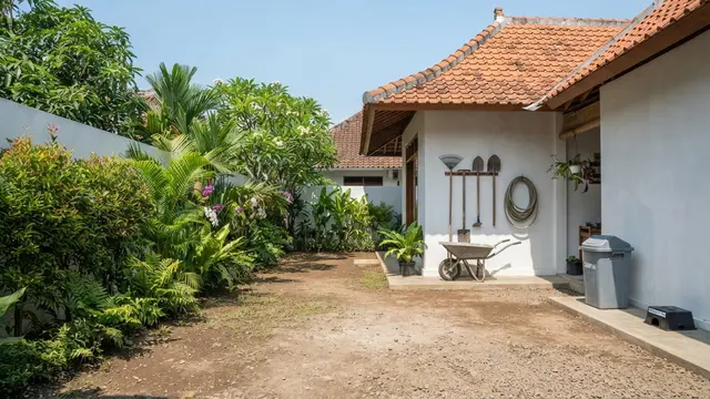 Cara Mencegah Ular Masuk Rumah