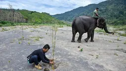 Relawan peduli lingkungan menanam pohon di Daerah Aliran Sungai (DAS) Peusangan, Negeri Antara, Bener Meriah, Aceh, Sabtu (18/7/2026). (AFP/ Chaideer Mahyuddin)